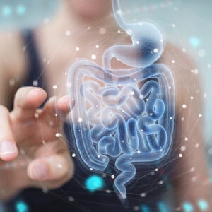: Illustration of the digestive tract representing gut health and food sensitivity concerns