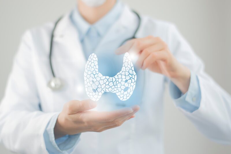 Doctor holding an illustration of the thyroid gland while discussing thyroid health and hypothyroidism.