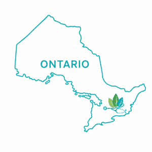 Teal outline map of Ontario with a green and teal naturopathic healthcare symbol highlighting Southern Ontario.