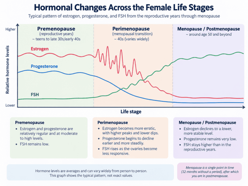 Educational graph showing hormonal changes across premenopause, perimenopause and menopause, with estrogen becoming more erratic then declining, progesterone steadily declining, and FSH rising over time.