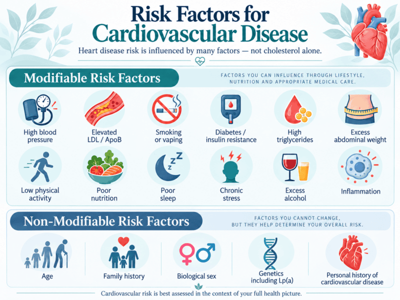 Educational infographic illustrating modifiable and non-modifiable cardiovascular disease risk factors, including high blood pressure, elevated LDL cholesterol and ApoB, smoking, diabetes, insulin resistance, inflammation, physical inactivity, poor nutrition, genetics, age, and family history.